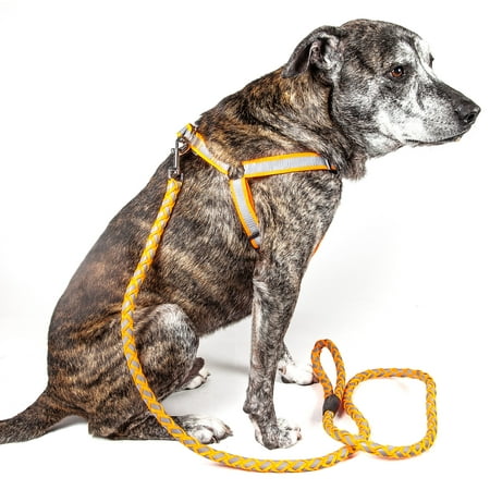 UPC: 0858342425100 | Pet Life ®  Easy Tension  Reflective Stitched Adjustable 2-in-1 Pet Dog Leash and Harness