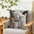 thumbnail image 5 of Alpaca Print Pillow Cover 18x18 Inches Soft Throw Pillow Case Cushion Cover Decorative Pillowcase for Sofa Living Room Bedroom Decor Multicolor, 5 of 5