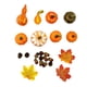 thumbnail image 1 of Calabazas artificiales mixtas Calabazas, hojas de arce y conos Festival de otoño 23 piezas, 1 of 9