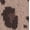 Acorn, variant on Women's Sleepwear Cozy Knit V-Neck Pullover Top, Sizes XS-3X