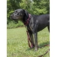 thumbnail image 3 of LAICAIW-Burgundy Martingale Heavy Duty Nylon Dog Collar (Small, 3/4 Inch Wide), 3 of 7