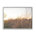 thumbnail image 3 of Stupell Industries Countryside Field Tall Grass Summer Sunshine Rays Framed Wall Art, 20 x 16, Design by Donnie Quillen, 3 of 5