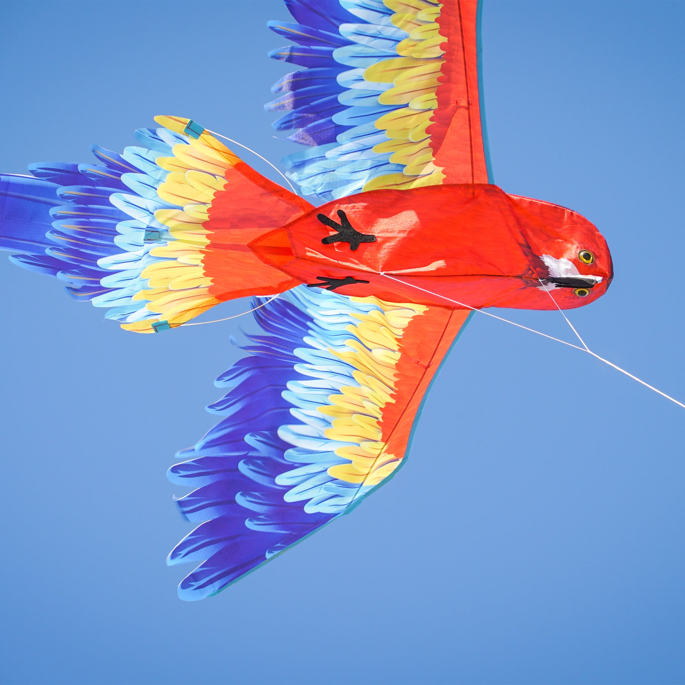 In the Breeze 3381 — 3D Parrot Kite — Colorful-Printed Bird Kite with Applique Details, Kite Line and Reusable Bag Included