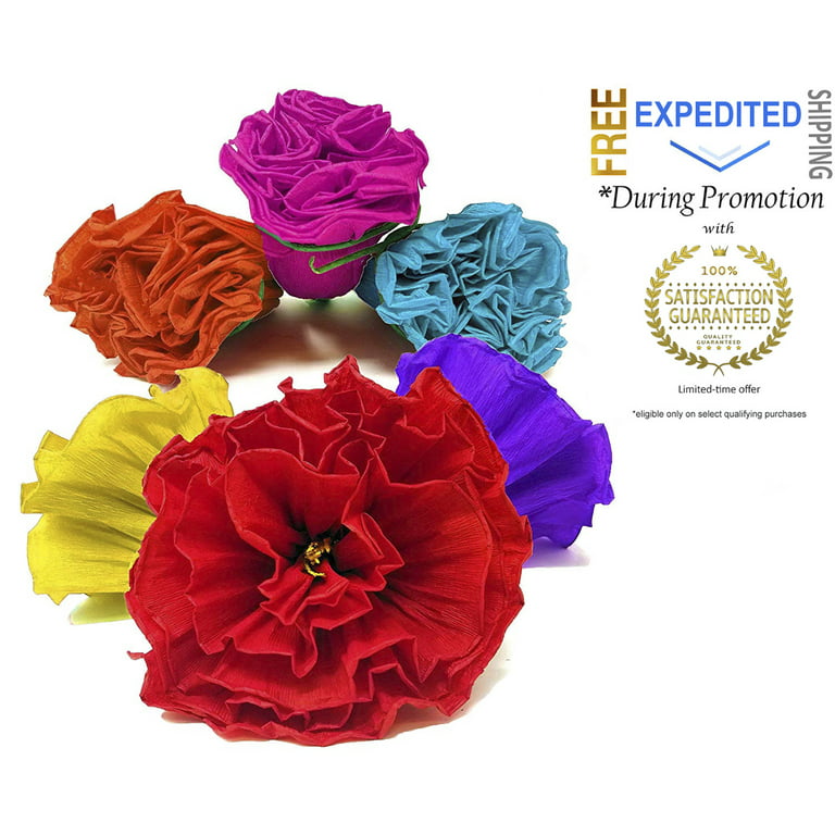 Mexican Paper Flowers Photo Wall Tissue Pom Poms Multicolor Set of 10 