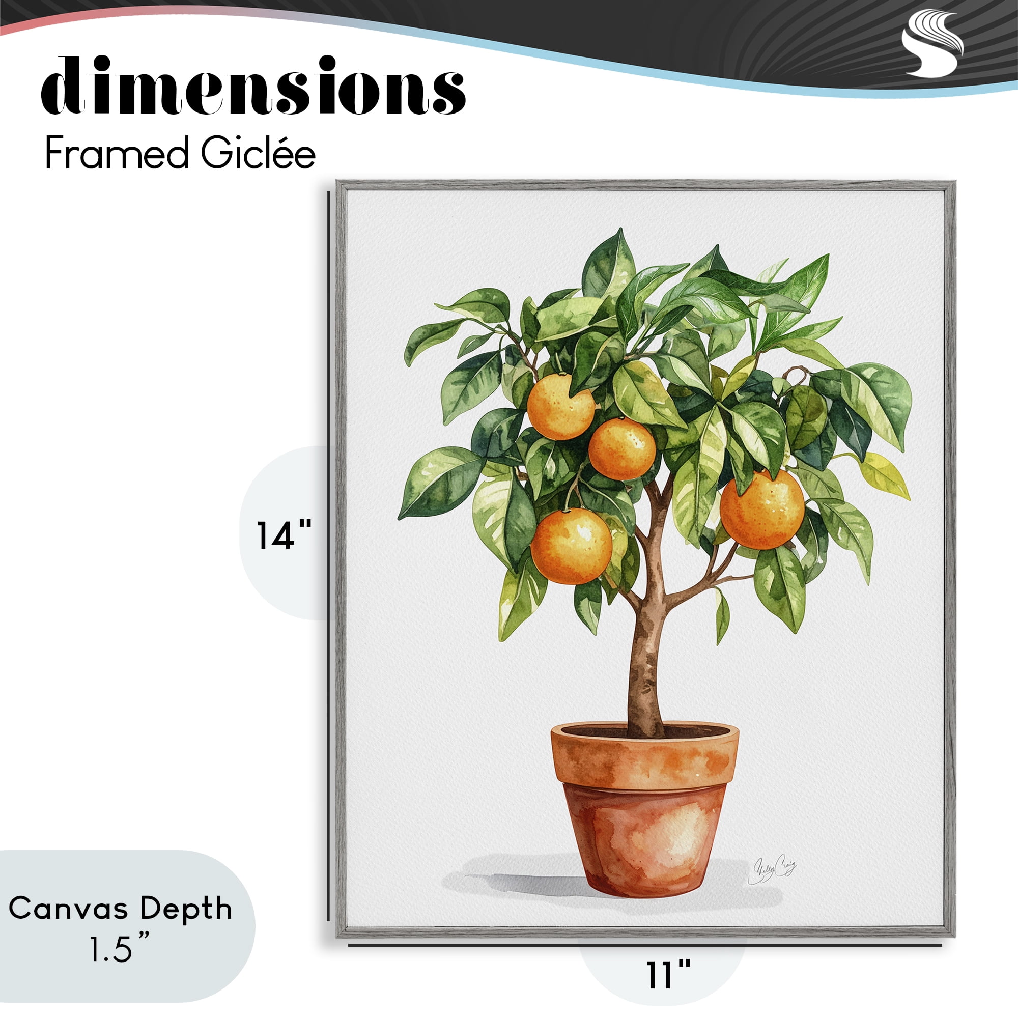 Stupell Industries Potted Orange Tree Gray Framed Giclee Art, design by Shelly Craig
