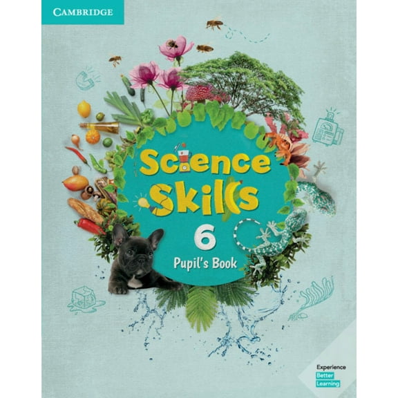 Science Skills Science Skills Level 6 Pupil's Book, (Paperback)