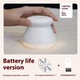 thumbnail image 2 of Portable Electric Fabric Shaver Lint Remover Rechargeable Sweater Pill Cutter for Clothes, 2 of 10