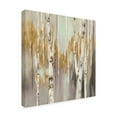 thumbnail image 2 of Trademark Fine Art 'Silver Birch II' Canvas Art by Julia Purinton, 2 of 3