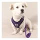 thumbnail image 2 of Pechera Arnés Con Correa Perro O Gato Ajustable Mediana, 2 of 7