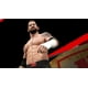 WWE 2K16 [PlayStation 4] – image 4 sur 10