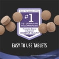 thumbnail image 2 of Purina Pro Plan Veterinary Supplements FortiFlora Chewable Dog Probiotic Supplement Tablets, 90 ct Bottle, 2.02 lb., 2 of 8