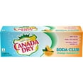 thumbnail image 4 of Canada Dry® Club Soda Orange-Mandarin 355 mL Cans, 12 Pack, 4 of 10