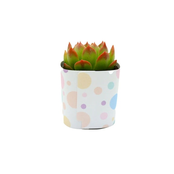 Plants Of Joy Poka Dots Print Succulent Wraps for Weddings, Baby Shower, and Party Favors. 25 Count Pack.