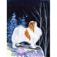 thumbnail image 1 of Carolines Treasures SS8363CHF Starry Night Japanese Chin Canvas Flag - House Size- 28 x 40 in., 1 of 4