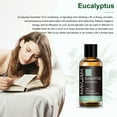 thumbnail image 6 of MAYJAM 3 Pack 30ML Essential Aromatherapy Oils Gift Set for Diffusers, Home Care, Bergamot, Sweet Orange, Eucalyptus, 6 of 10