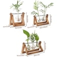 thumbnail image 5 of Desktop Hydroponics Glass Bulb Planter Vase with Wood Stand Versatile Table Decorative Vase for Home/Office, 5 of 5