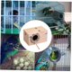 thumbnail image 5 of Caja de cría de casa de pájaros Nido de periquitos Jaula de periquitos de pino Caja de apareamiento Casa de pájaros 12 * 12 * 19, 5 of 5