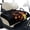 Black and Orange - Wolf, variant on LedBack Bat Print Golf Cart Seat Covers 30 x 51 Inches Foldable Non-Slip Golf Cart Blanket Seat Covers with Pockets for EZGO, Club Car and More 2-Seat Carts, Red and Black