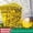 A001- Multicolor, variant on Sticky TrapsforGnats, Yellow Sticky Traps, 6X8 In, Insect Traps Indoor, Home Use, 20 Pc, Hanging Design