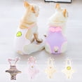 thumbnail image 3 of Breathable Pet Sanitary Pants - Soft Touch Adjustable - Menstrual Period Pants - Female Dogs, 3 of 8