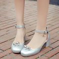 thumbnail image 2 of Akiihool Party Shoes for Teen Girls Heels Girls Dress Shoes Flower Wedding Mary Jane Ballet Toddler/Little/Big Kids (Silver,13), 2 of 4