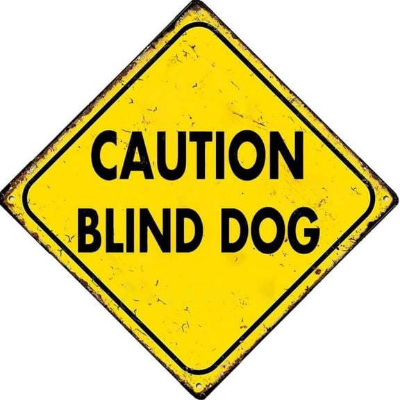 Caution Blind Dog Outdoor Street & Home Bar Club Kitchen Restaurant Wall Art Decor Plaque Square Sign 12"X12"