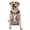 With Accessories, variant on Vsdgher Orange Peach Pattern Dog Harness,No Pull Pet Harness with Soft Padded Handle,Adjustable Reflective Vest with 2 Buckles,4 Slide Buckles,S-XL Medium