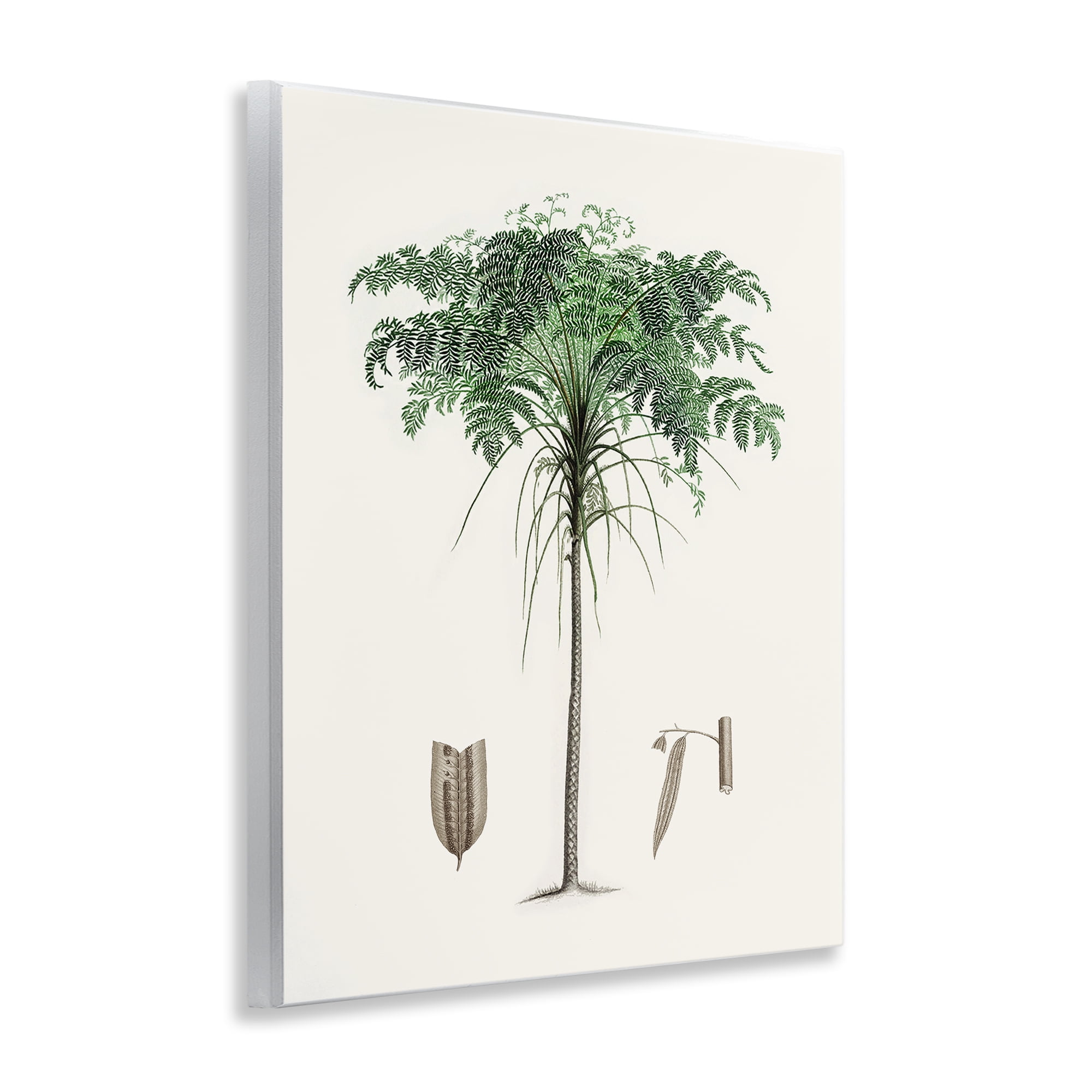 Stupell Industries Vintage Palm Leaves Wall Plaque Art, design by Val Rhodes