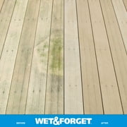 Wet & Forget Outdoor Moss, Mold, Mildew, and Algae Stain Remover Concentrate, 128 oz