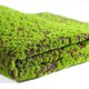 thumbnail image 1 of Simulación de liquen de musgo artificial Plantas verdes falsas para la decoración del jardín del patio del hogar (punto rojo), 1 of 6