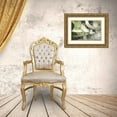 thumbnail image 3 of Meneely, Dan 14x11 Gold Ornate Wood Framed with Double Matting Museum Art Print Titled - Summer Greens II, 3 of 4