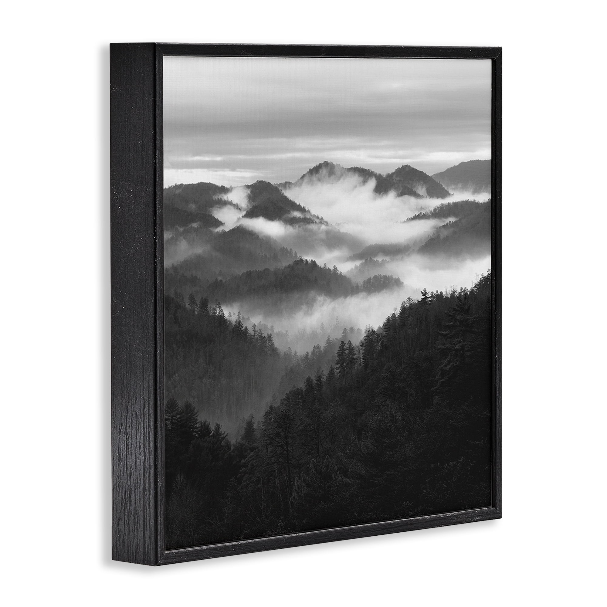 Stupell Industries Smoky Mountains Forest Black Framed Giclee Art, design by Nicholas Bell