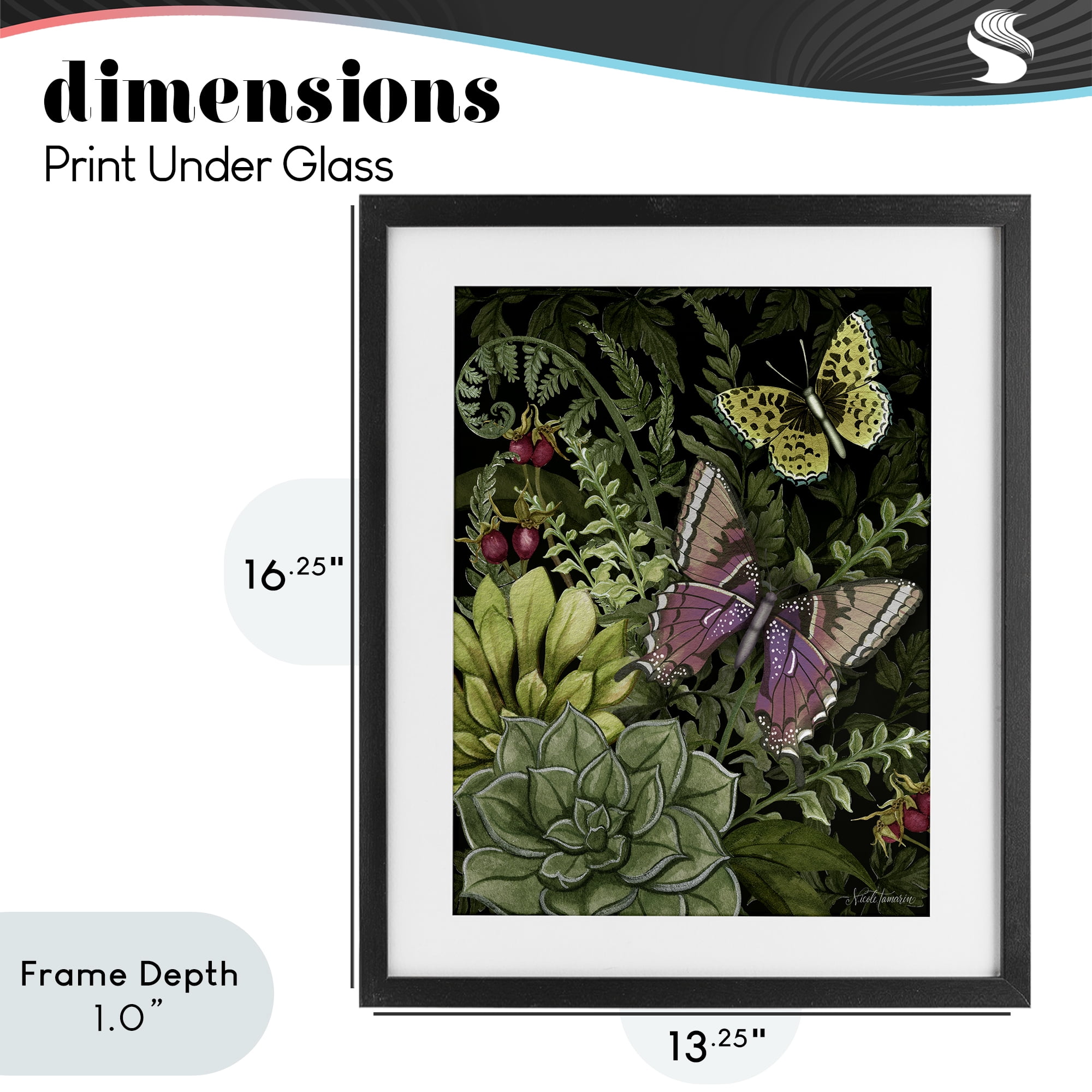 Stupell Industries Dark Succulents Midnight Garden Black Framed Print Under Glass, design by Nicole Tamarin