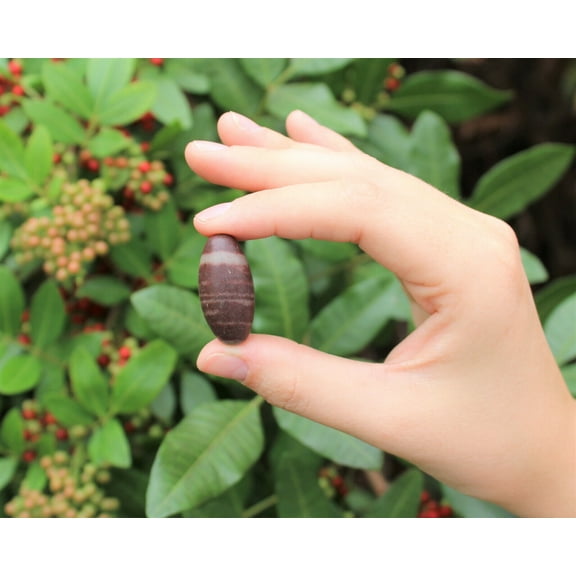 One Shiva Lingam Stone, Small 1" - 1.25" size (Healing Crystals, Shiva Lingham)