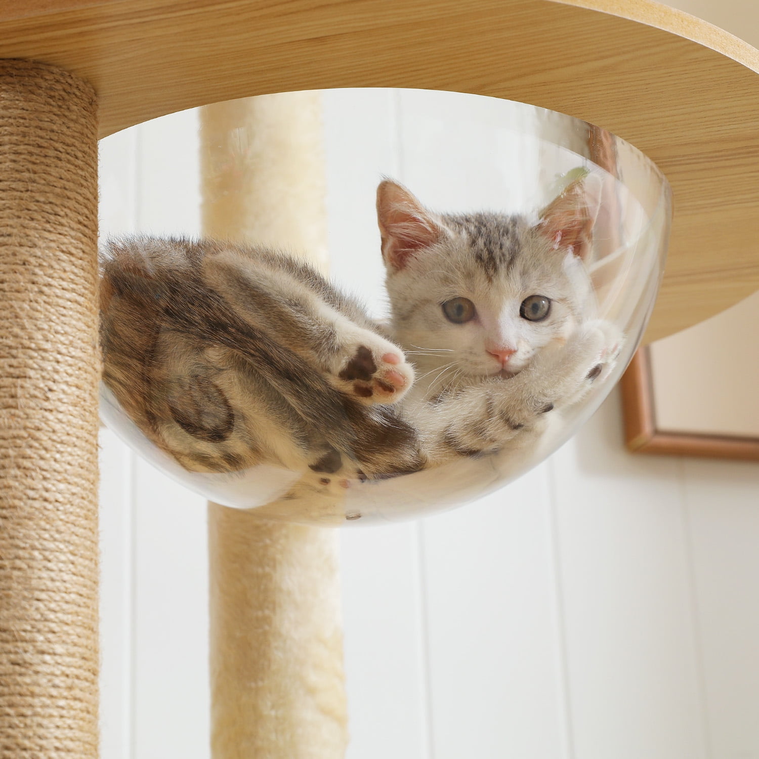 Kadyn 71" Wooden Cat Tree Tower for Multiple Cats, Modern Cat Tree House with Cat Condo for Indoor Cats, Beige