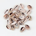 thumbnail image 2 of 50pcs Cowrie Shell Beads No Hole/Undrilled Seashell color 18~22.5x13~17x6~8mm, 2 of 4