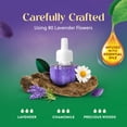 thumbnail image 4 of Air Wick Plug In Essential Oil Refills Lavender & Summer Pack of 12, 4 of 9