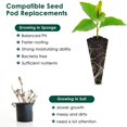 thumbnail image 2 of Hongchun Flower Growing Sheep Seed Pods Seed Starter Sponge Pods Compatible with Germination Growing Sponge Seeds Starter Prings Hydroponic Seed Start Kit 10pcs, 2 of 5