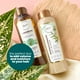 thumbnail image 5 of Set de champú y acondicionador Anyeluz Rosemary con ácido hialurónico, 5 of 6