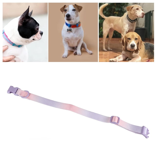 Collar De Perros, Collar De Perros Ajustable Collar De Cachorro Para Perros Pequeños Collar De Poliéster Para Mascotas Para Perros Pequeños Medianos Grandes Grandes Decoración