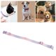 thumbnail image 1 of Collar De Perros, Collar De Perros Ajustable Collar De Cachorro Para Perros Pequeños Collar De Poliéster Para Mascotas Para Perros Pequeños Medianos Grandes Grandes Decoración, 1 of 7