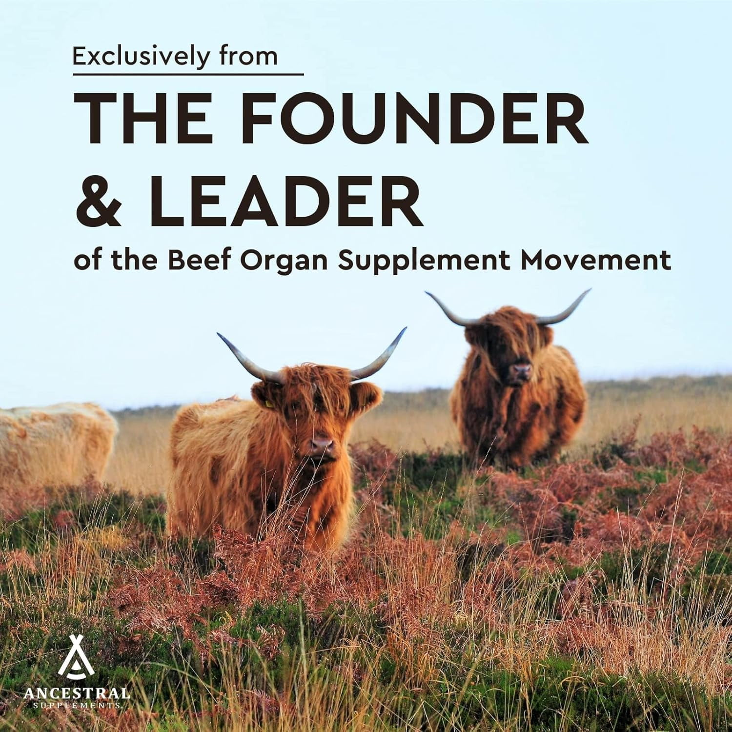 Ancestral Supplements Grass Fed Beef Heart Supplement, 3300mg, CoQ10 Supplement with Grass Fed Beef Liver, Supports Energy, Immune, Heart and Mitochondrial Health, Non GMO, 180 Capsules