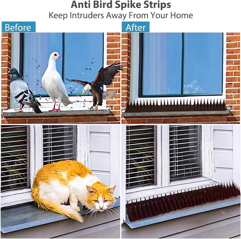 Bird Spikes for Outside, 20 Pack Bird Squirrel Raccoon Pigeon Cat Animal Deterrent Spikes for Bird Spikes for Anti Bird Defender Spikes Outdoor to Keep Birds Away and Keep Birds(5.7M/18.7feet)