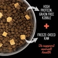 thumbnail image 4 of Nutrience SubZero Adult Cat Food - Limited Ingredient, Turkey & Pumpkin, 4 of 5