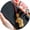 pixiu, variant on Lucky Charm Hanging Ornament Set – Traditional Chinese-Inspired Keychain with Faux Gold Coins, Auspicious Symbols & Decorative Tassel for Car or Bag
