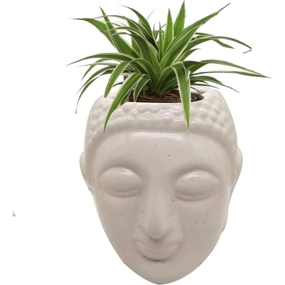 India Meets India Handicraft Ceramic Flower Pots Ceramic Planter Plant Pots Indoor Outdoor Planter, Best Gifting, Made by Awarded Indian Artisans