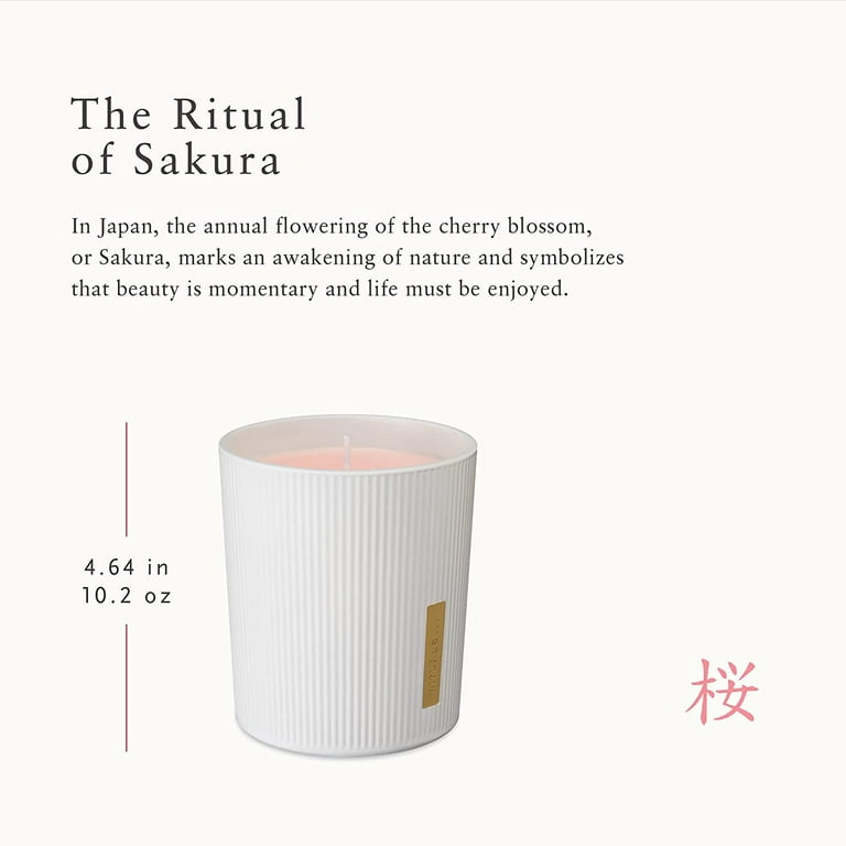 The Ritual of Sakura Scented Candle Rituals Scented Candle - Sabina