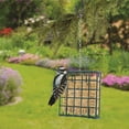 thumbnail image 2 of Woodlink Wild Bird Metal Small Suet Cage, 2 of 2