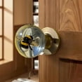 thumbnail image 4 of Hotpom Artistics Resin Door Knob, Nature Themed Cabinet Pull for Cabinets, Doors and Bedroom, Vintage Round Decorative Resin Handles Bathroom Accessories, 4 of 7