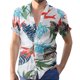 thumbnail image 1 of Camisas De Franela Para Hombre Hombres Primavera y Verano Top Estampado colorido Solapa Top Camisa Vacaciones al libre Camisa de manga corta (White, XXL), 1 of 6